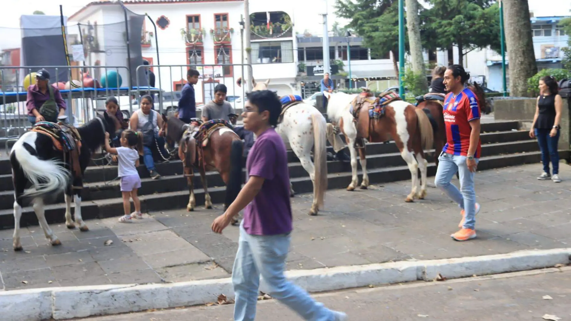 Caballos | Animales | Protección animal 